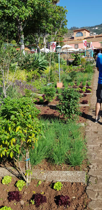 Gartenanlage Hotel Quinta Splendida Wellness & Botanical Garden
