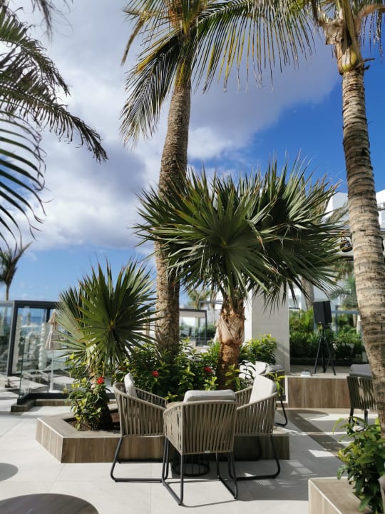 Garten Hotel Riu Palace Jandia
