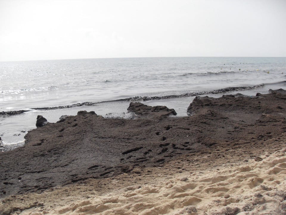 Kamelkot Hotel Chich Khan