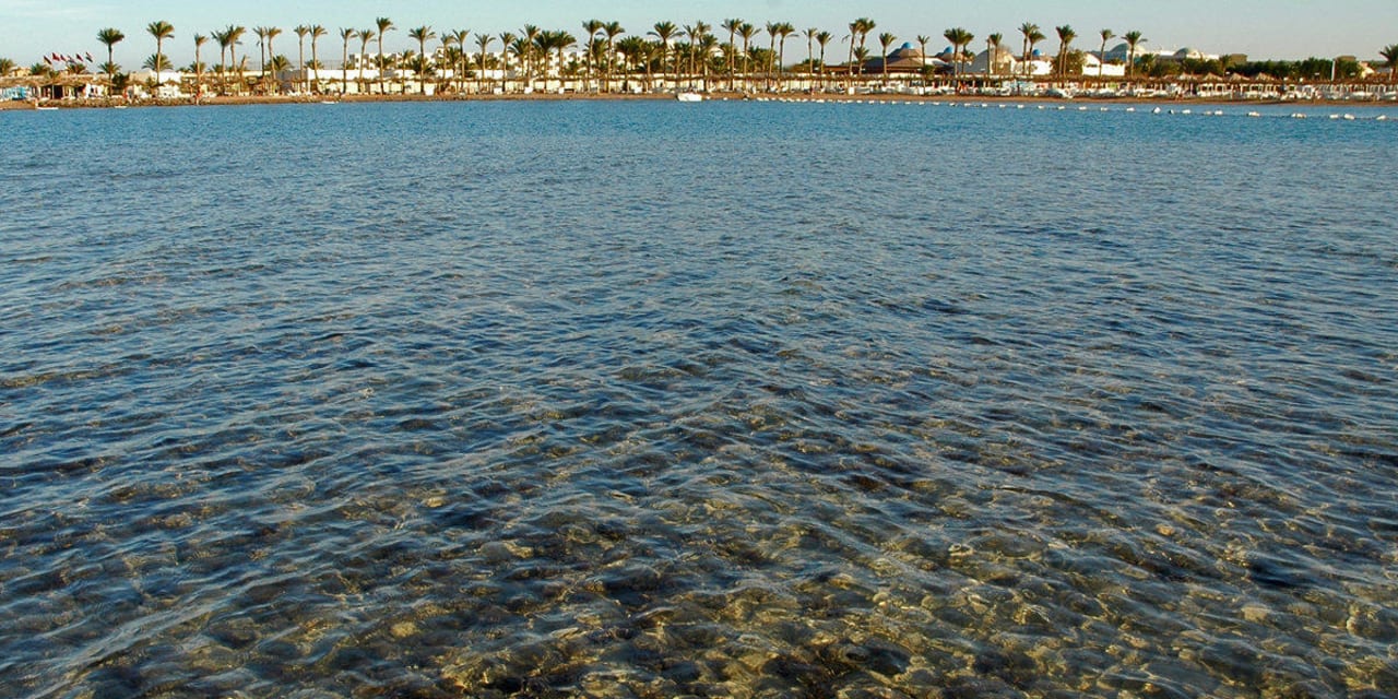 Ein Strand zum Schwimmen und schnorcheln Pickalbatros Alf Leila Wa Leila Resort - Neverland Hurghada