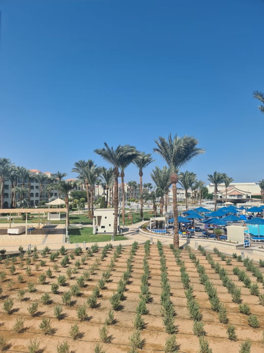 Gartenanlage Pickalbatros Dana Beach Resort - Hurghada