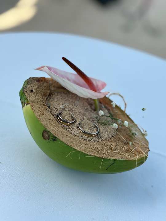 Sonstiges Lagoon Attitude - Adults only