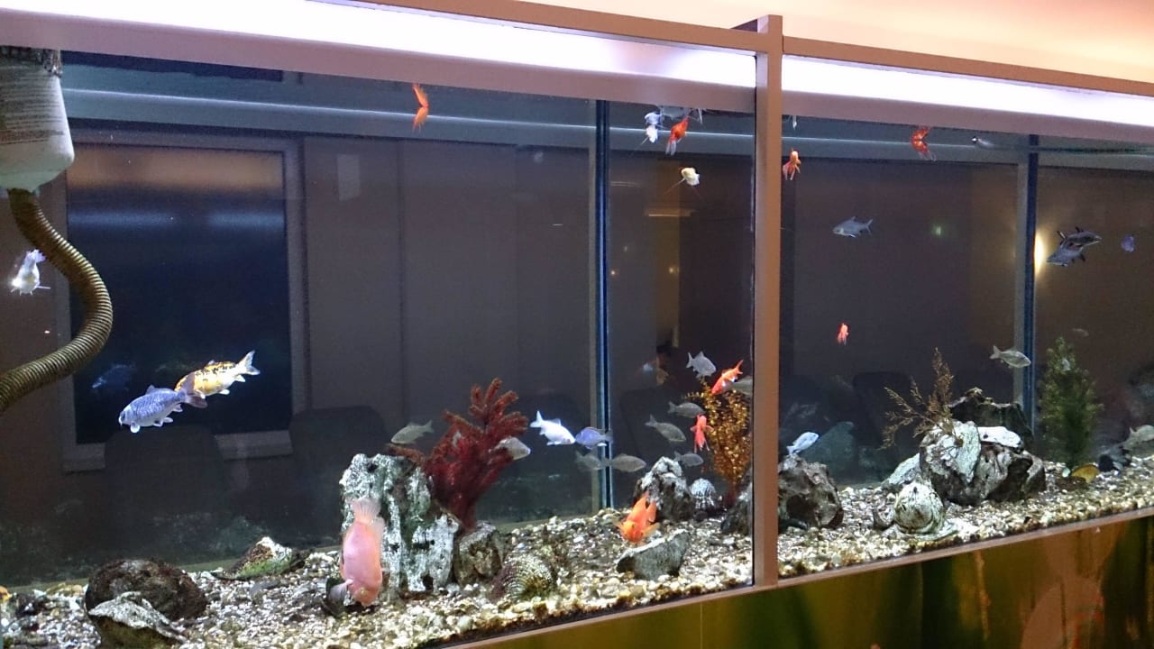 Aquarium im Novaspa NOVAPARK Flugzeughotel Graz