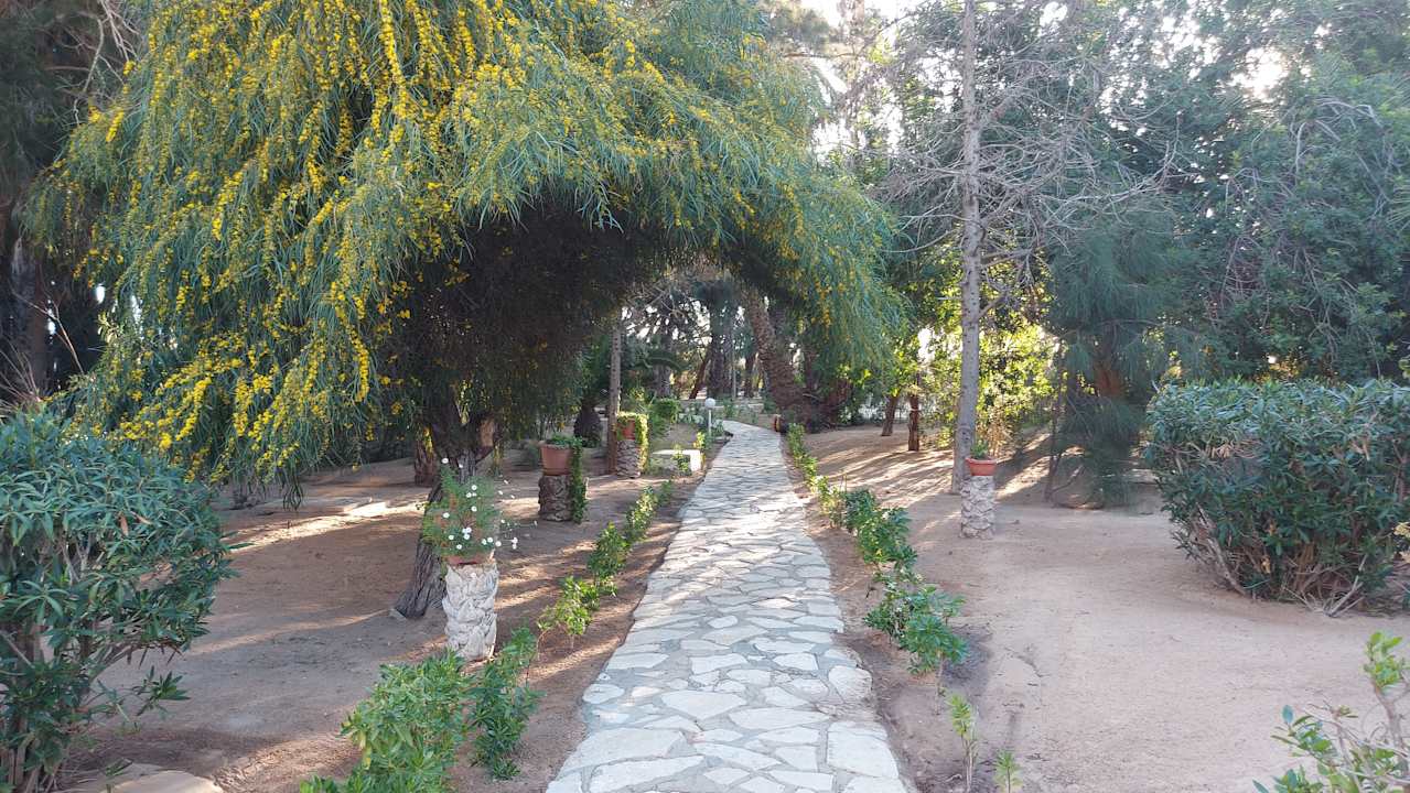 Gartenanlage Marhaba Royal Salem
