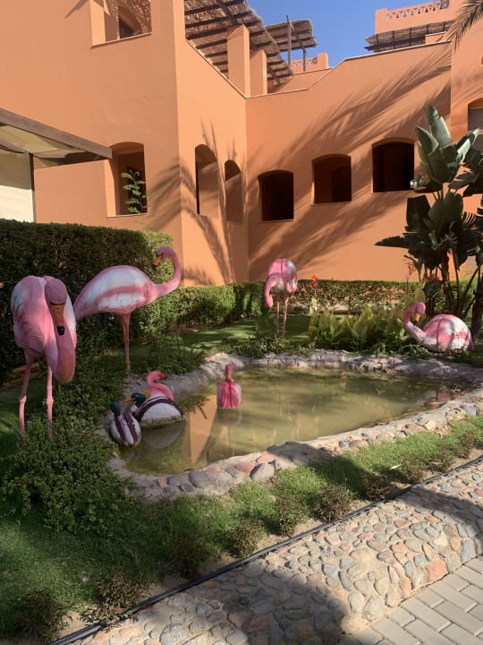 Außenansicht Hotel JAZ Makadi Star & Spa