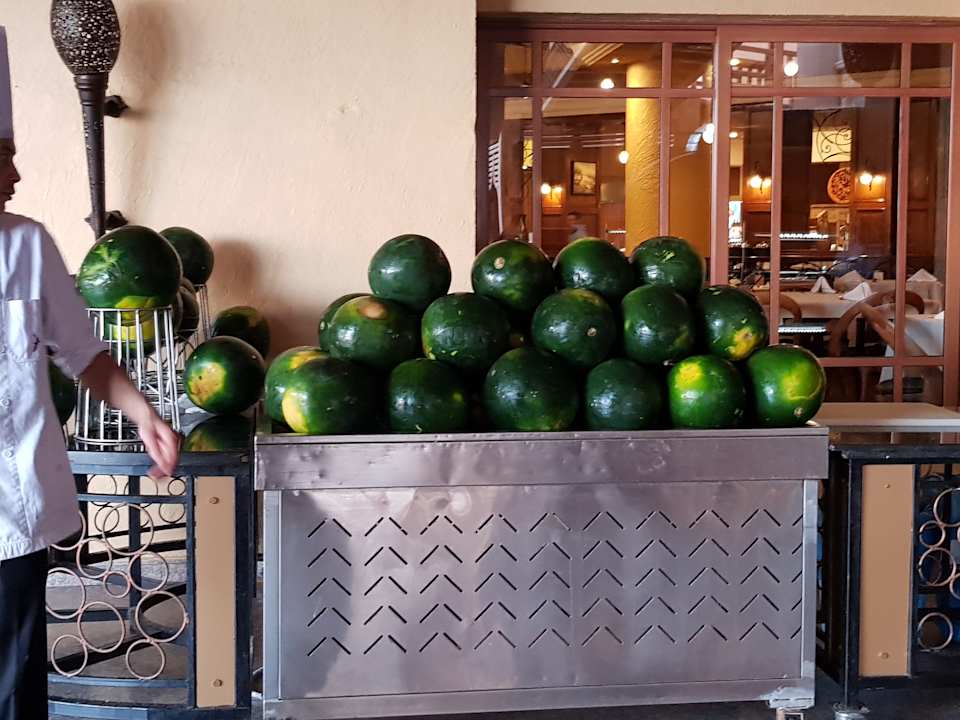Gastro Pickalbatros Palace Resort