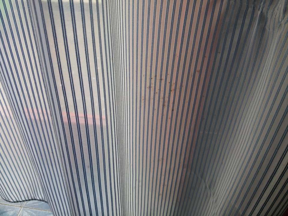 Schimmel Hotel Marina Club