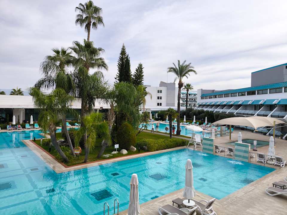 Pool Side Star Elegance