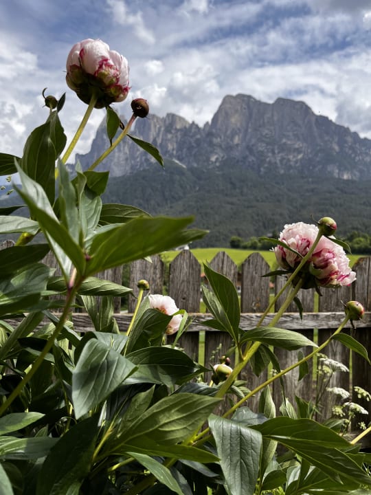 Gartenanlage Mesnerhof my Paradise
