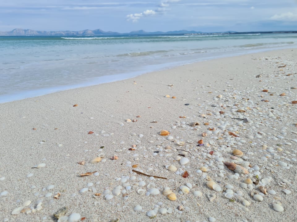 Strand allsun App.-Hotel Orquidea Playa
