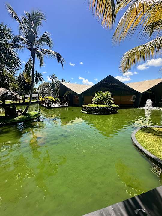 Sonstiges Grand Bávaro Princess