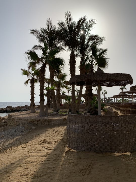 Strand Pickalbatros Citadel Resort