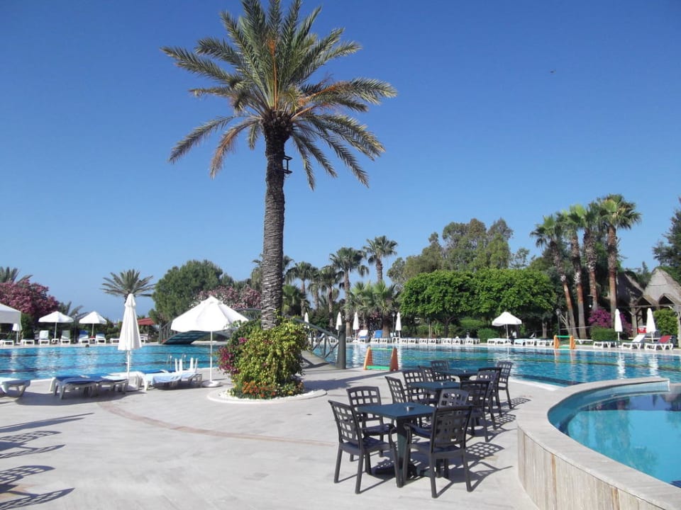 Die Palme Hotel Terrace Beach Resort