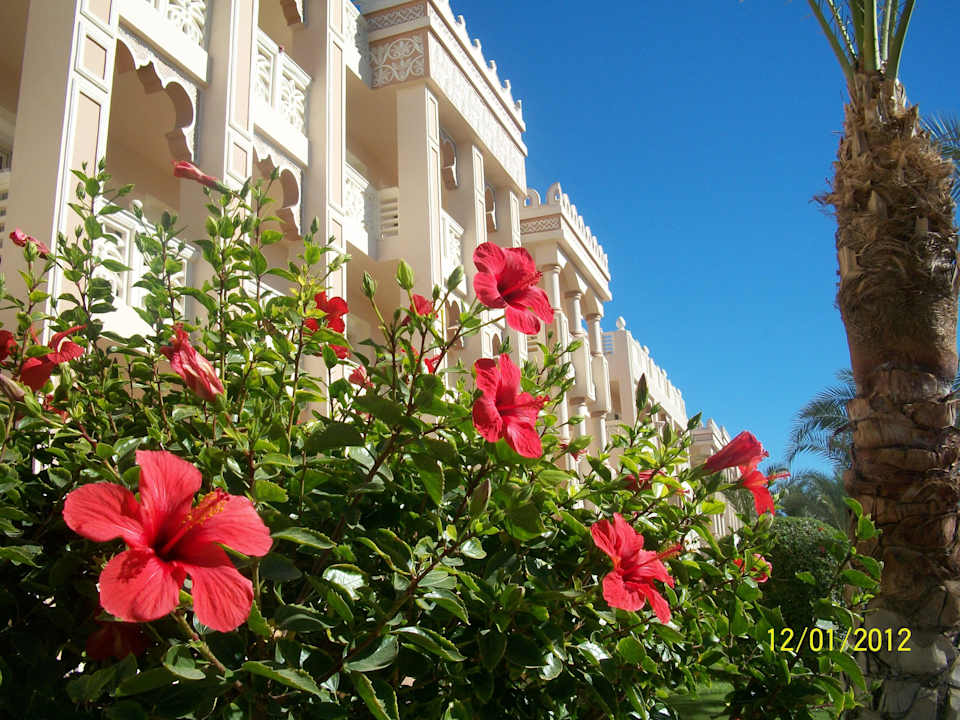Alles sauber und liebevoll gepflegt Pickalbatros Palace Resort
