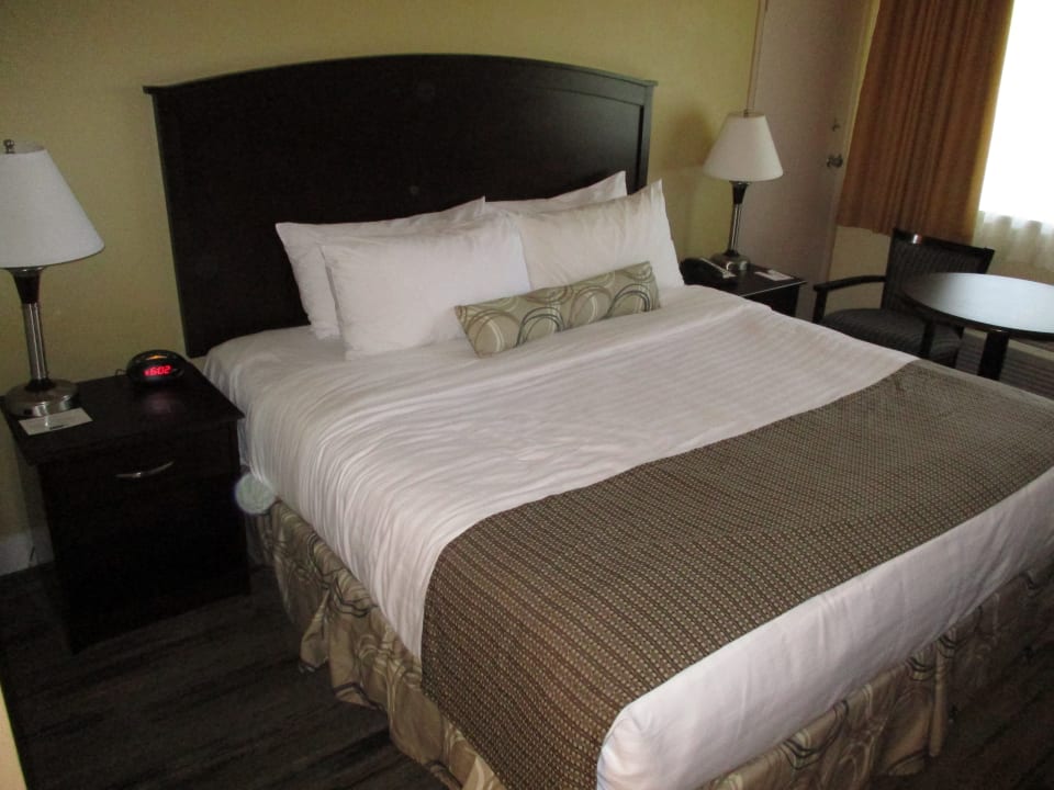 Zimmer Best Western Plus Burnaby Hotel