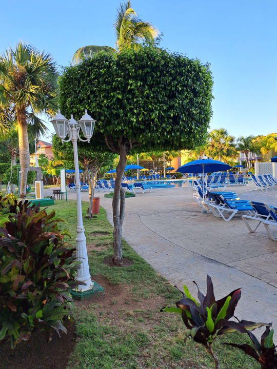 Pool Iberostar Origin Taínos