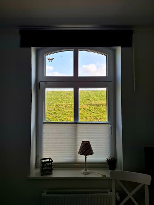 Ausblick Ferienhaus Hemenswarft direkt an der Nordsee mit Meerblick