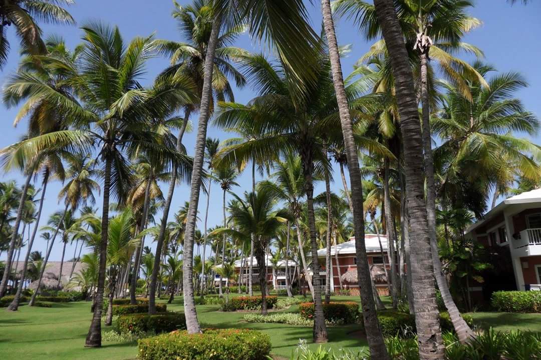 Gartenanlage Hotel Grand Palladium Palace Resort, Spa & Casino