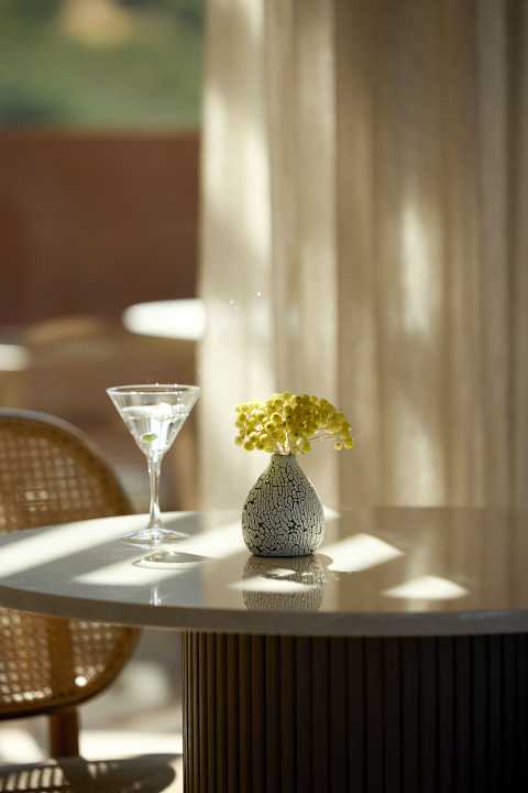 Gastro ananea Rocrita