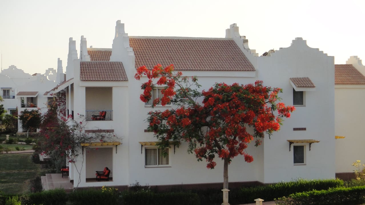 Alles sehr gepflegt Lahami Bay Beach Resort