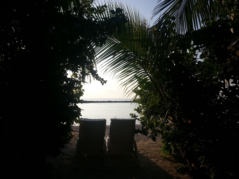 Ausblick Summer Island Maldives