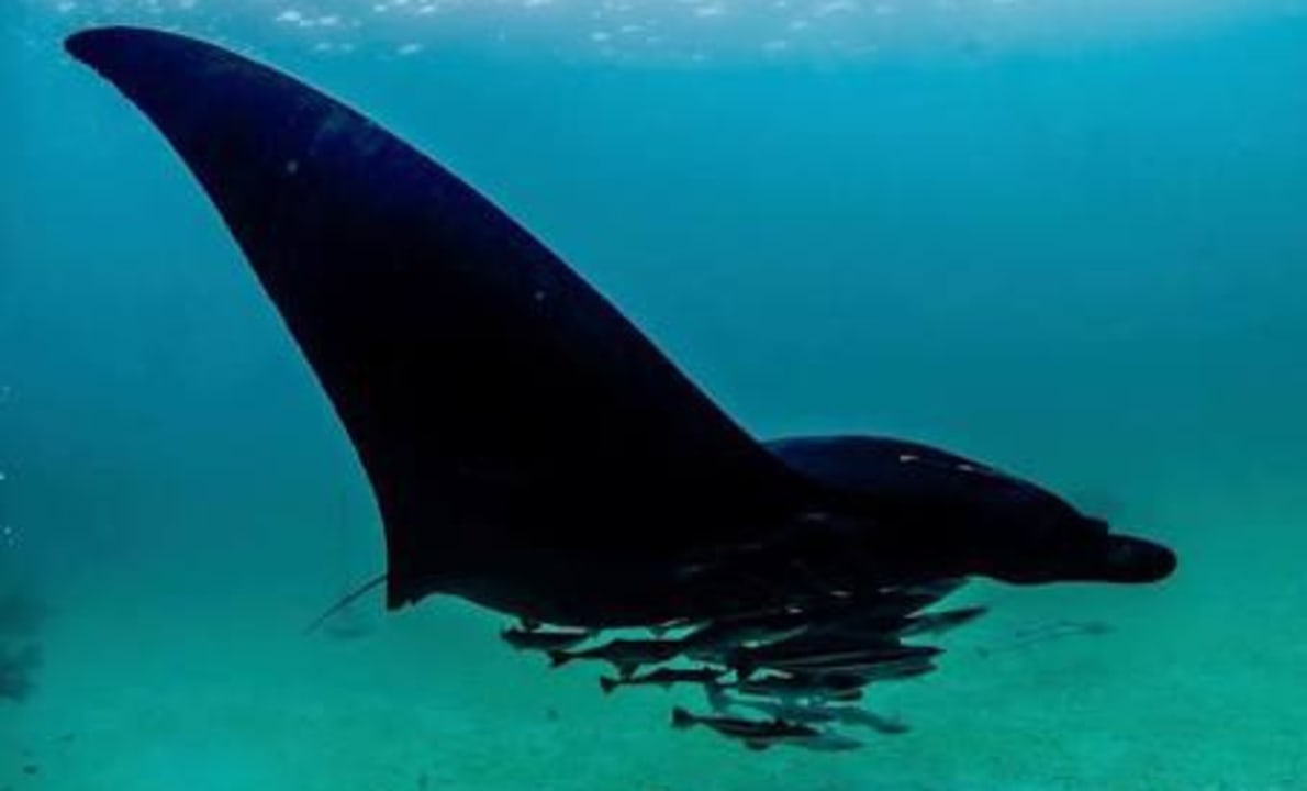 Außenansicht Three Corners Equinox Beach Resort