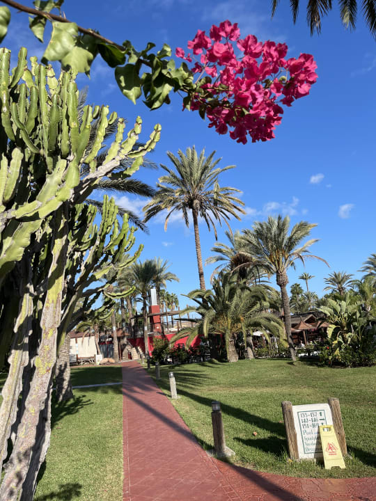 Gartenanlage HL Miraflor Suites Hotel