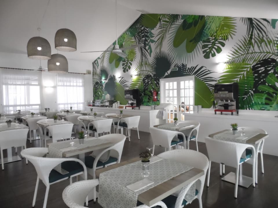 Gastro Canary Garden Club