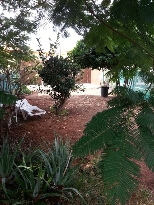 Jardin Apartments Los Medanos