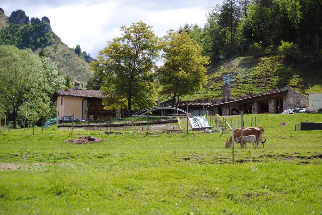 External Agriturismo Fattoria della Felicità
