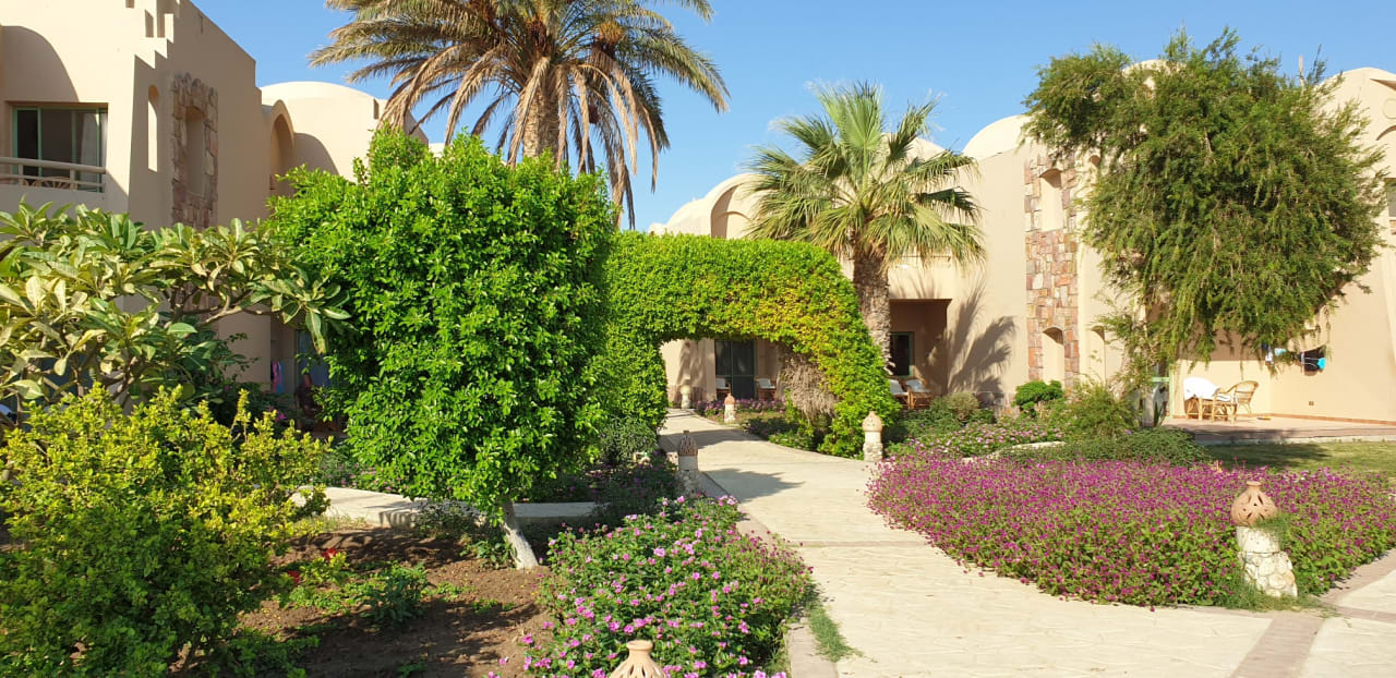 Außenansicht Shams Alam Beach Resort