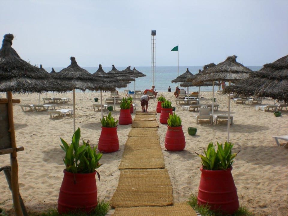 Hotel Royal Nozha Hotel Royal Nozha