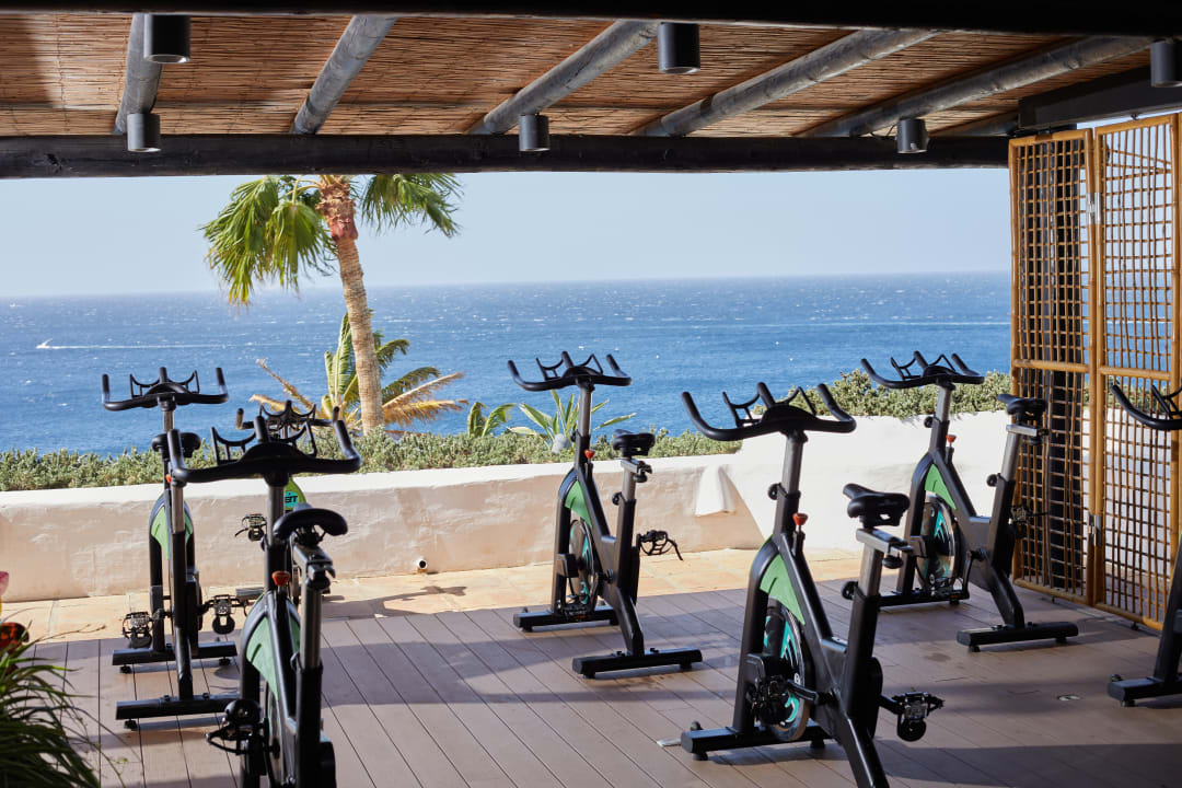 Sport & Freizeit Dreams Jardín Tropical