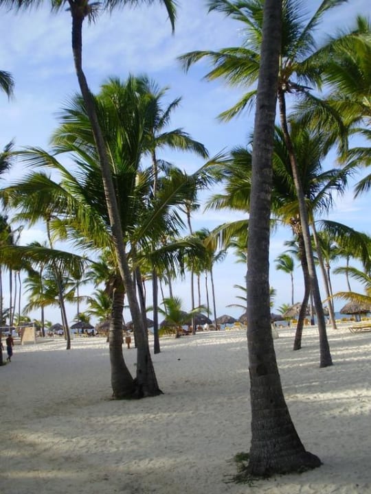 Vamos a la playa Catalonia Punta Cana - All Inclusive