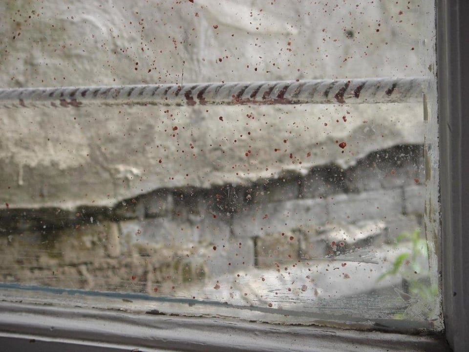 Fensterblick Hotel Quentin England