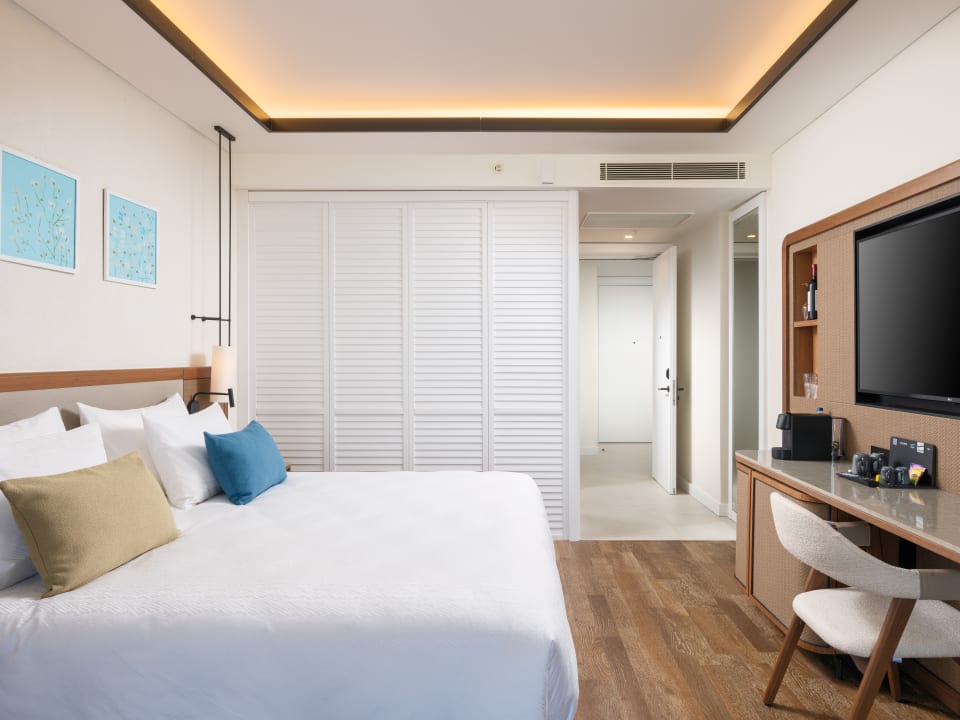 Zimmer Anda Barut Collection