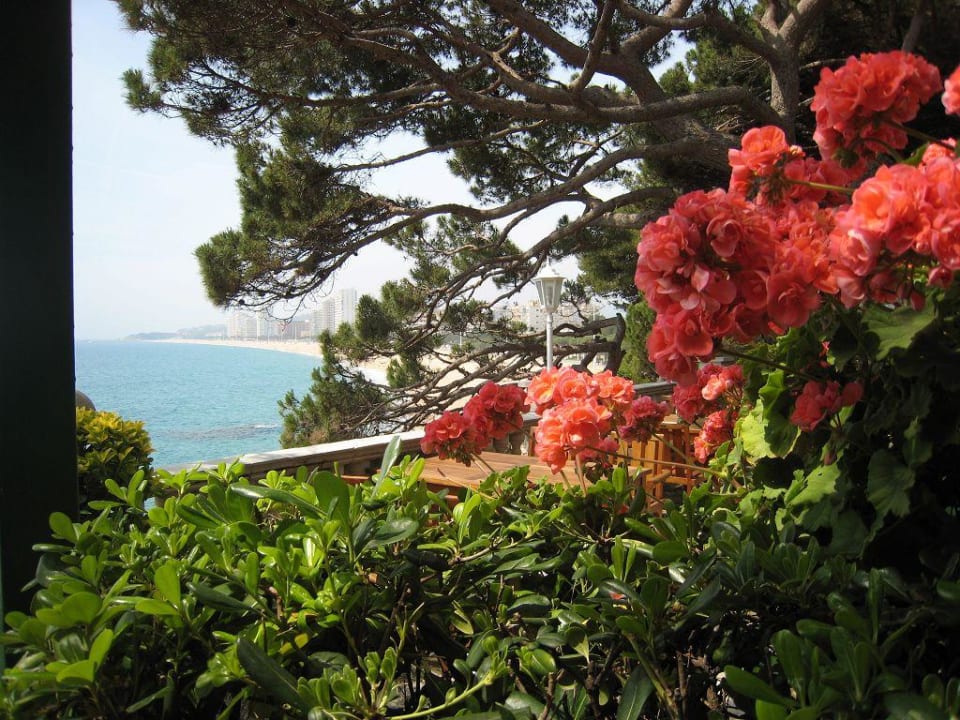 Gartenanlage Hotel Costa Brava