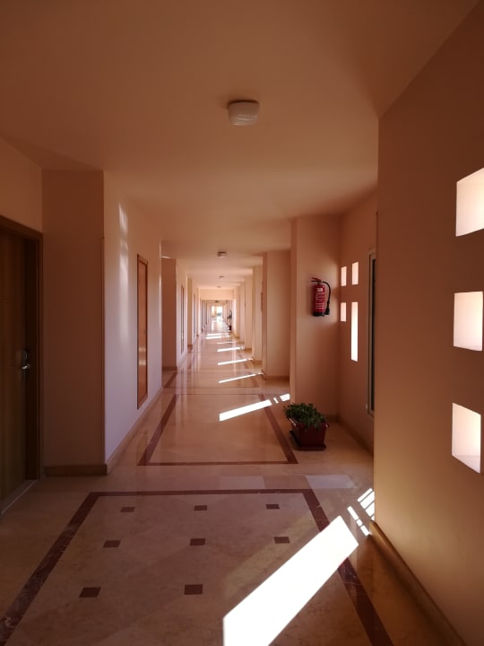 Sonstiges Sea Star Beau Rivage