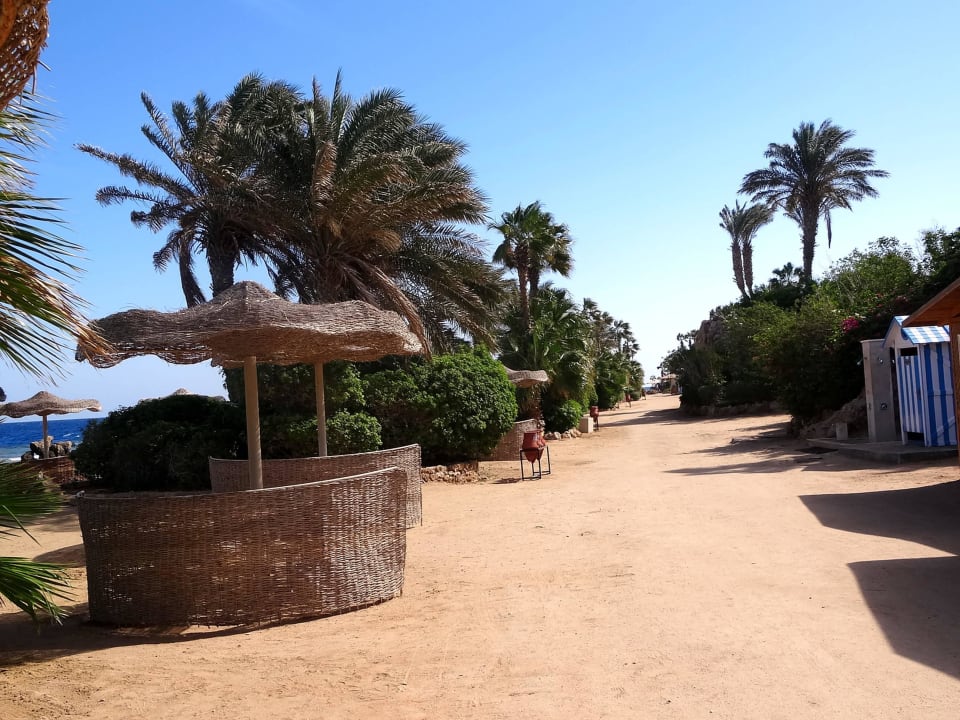 Aussicht Pickalbatros Citadel Resort