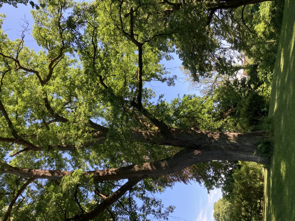 Gartenanlage Kavaliershaus Suitehotel am Finckener See