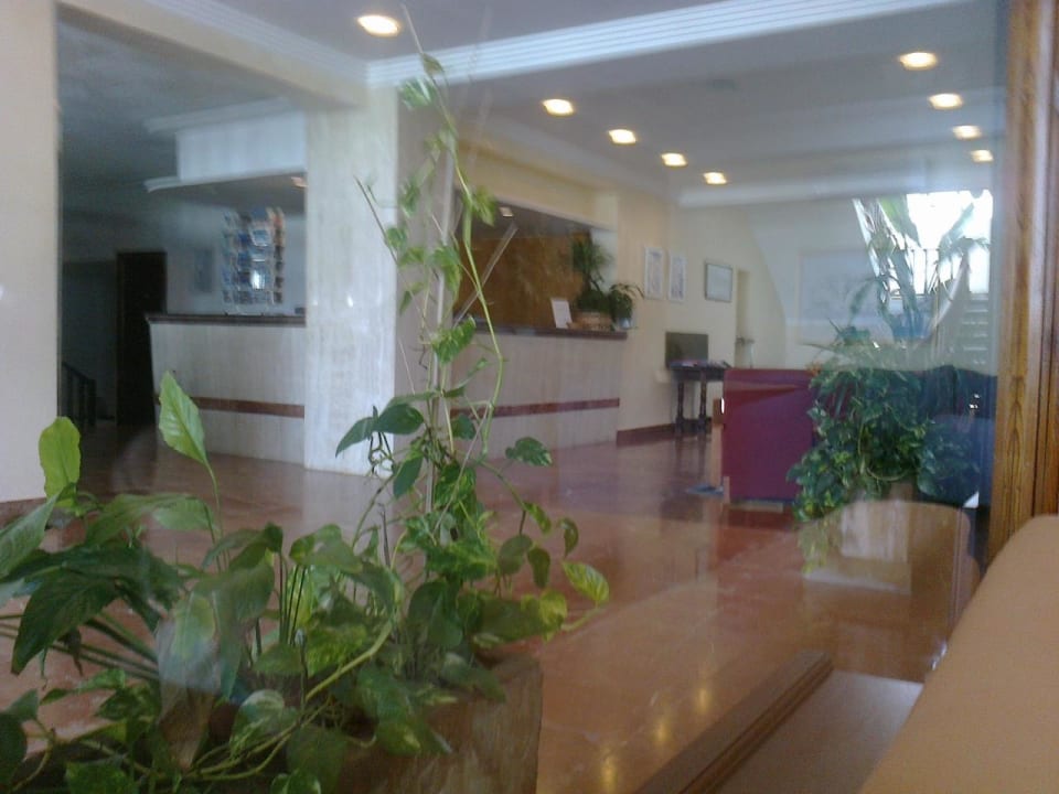 Rezeption und Empfang Hotel Osiris