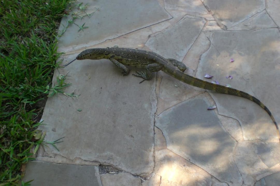 Waran Baobab Beach Resort & Spa