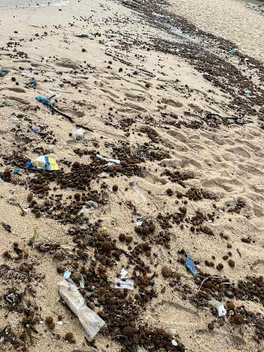 Strand Medina Solaria & Thalasso