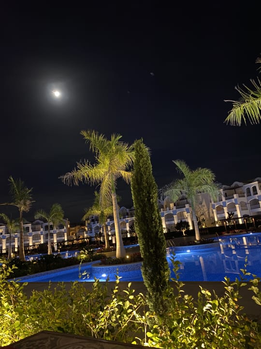 Pool Steigenberger Resort Alaya Marsa Alam - Red Sea - Adults only