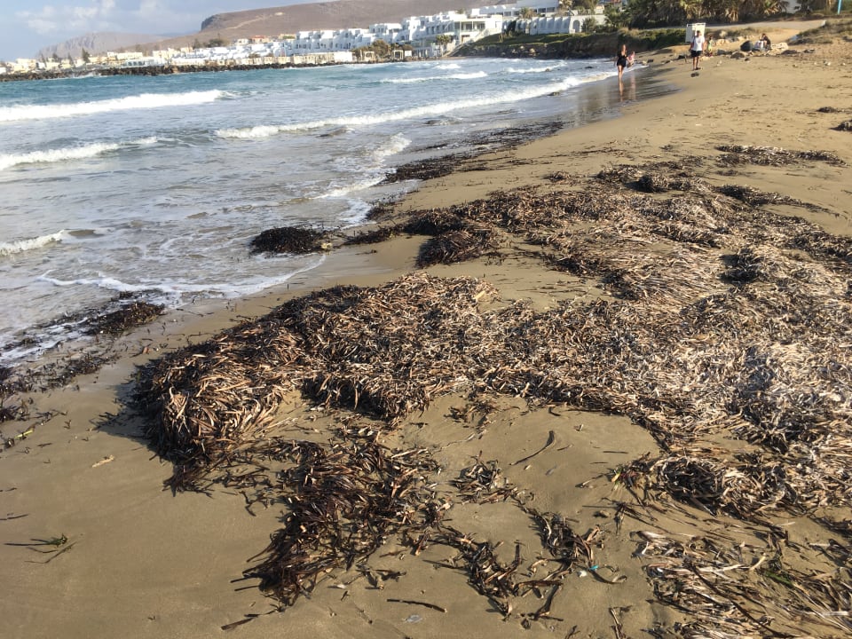 Strand Arina Beach Resort