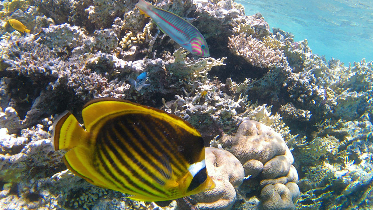 Sport & Freizeit Makadi Spa - Adults only