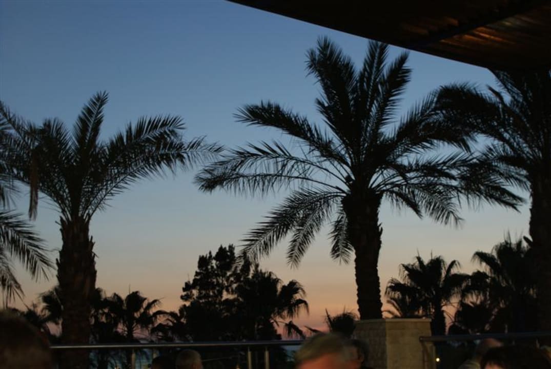 Muss ich hier was sagen? Sealife Buket Resort & Beach