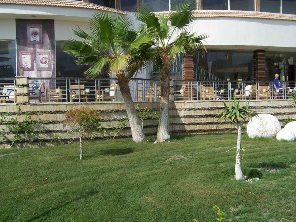 Zahrada u bazénu Hotel Sea Sun Dahab