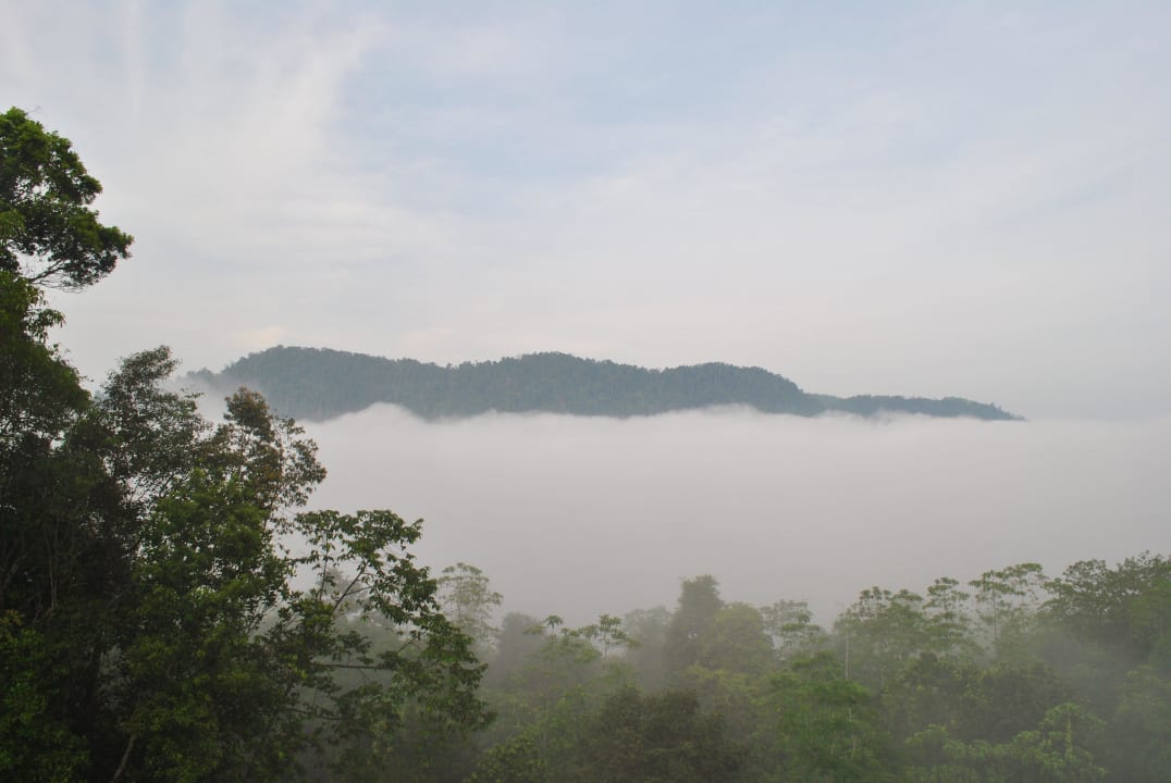 Früh morgens, oberhalb der Lodge Singharaja Garden ECO-Lodge