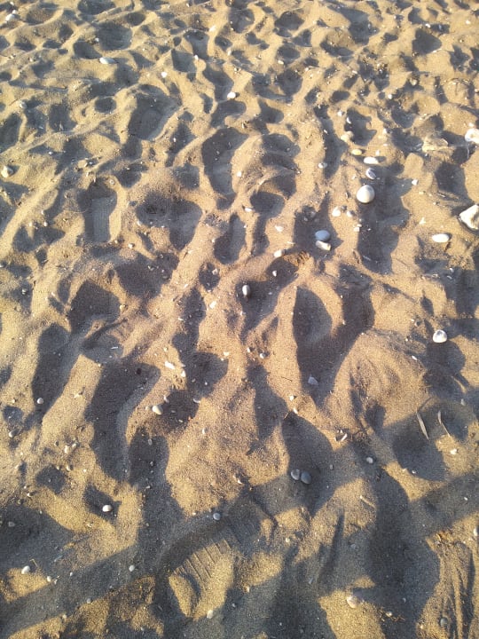 Strand TUI KIDS CLUB Alex Beach